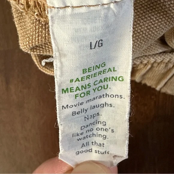 Aerie Tan Track Pants - Picture 7 of 13